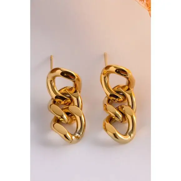 Stainless Steel Chain Earrings - Picture 2 of 5